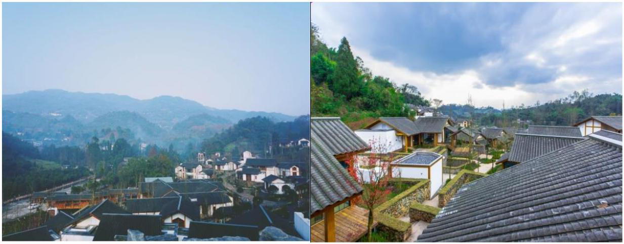 雅安市蒙頂山生態康養產業園發展有限公司